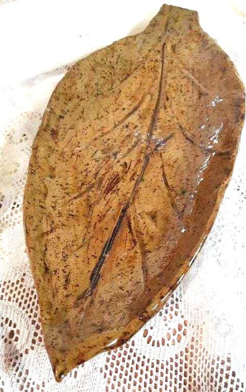 Handmade Pottery Tobacco Leaf Tray, Golden Glaze Stoneware, 12"/14" image 6