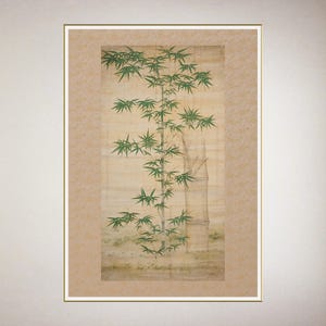 Bamboo Tree Sagunja Korean Art