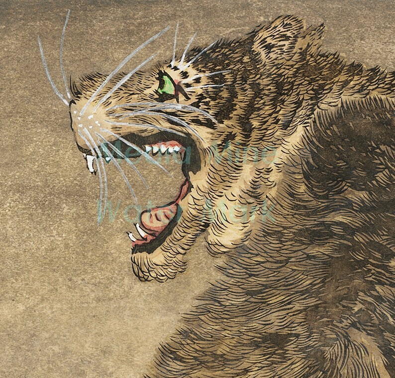 K&ouml;nnte beinhalten: Nahaufnahme eines knurrenden Tigerkopfes, in Schwarz und Braun auf beigefarbenem Hintergrund gezeichnet. Der Tiger hat den Mund ge&ouml;ffnet, wodurch scharfe Z&auml;hne und eine rosafarbene Zunge sichtbar werden. Das gr&uuml;ne Auge des Tigers ist zu sehen, und seine Schnurrhaare sind detailliert gezeichnet.