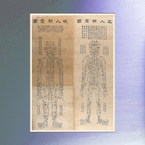 May include: A framed vintage print featuring two detailed illustrations of the human body, likely for acupuncture or traditional medicine. The diagrams are in black ink on aged paper, with Chinese characters and lines depicting meridians and pressure points.