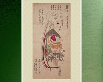 Acupunctuurschema naaldtherapie