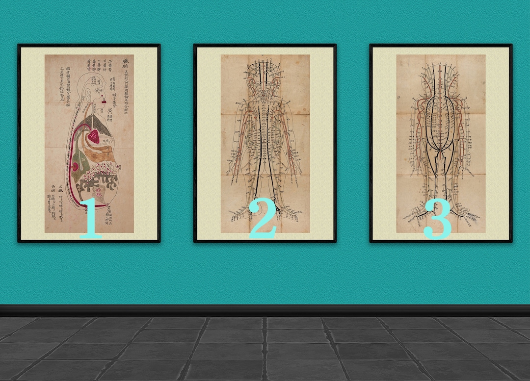 Acupuncture Chart Needle Theraphy Etsy