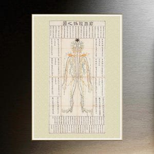 Acupuncture Chart Needle Theraphy Traditional Korean Medicine