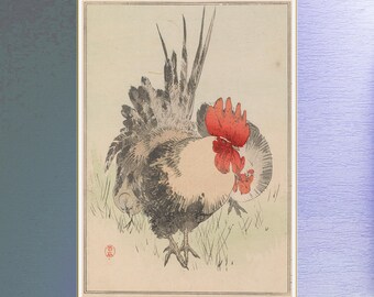 Rooster Hen Chicks Giclee Prints