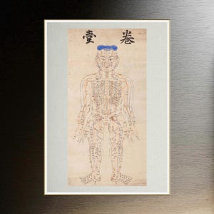 Acupuncture Points Body Chart Korean Needle Theraphy
