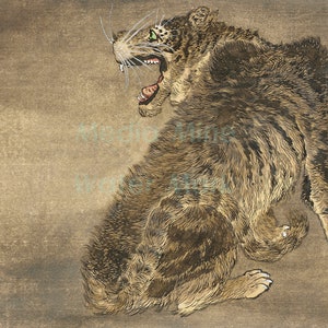 K&ouml;nnte beinhalten: Ein traditioneller japanischer Holzschnitt, der einen knurrenden Tiger mit gr&uuml;nen Augen zeigt. Der Tiger ist in Braun-, Schwarz- und Goldt&ouml;nen dargestellt, mit aufwendigen Details im Fell. Der Druck ist in japanischen Schriftzeichen signiert, "清涼" (Seiryō).