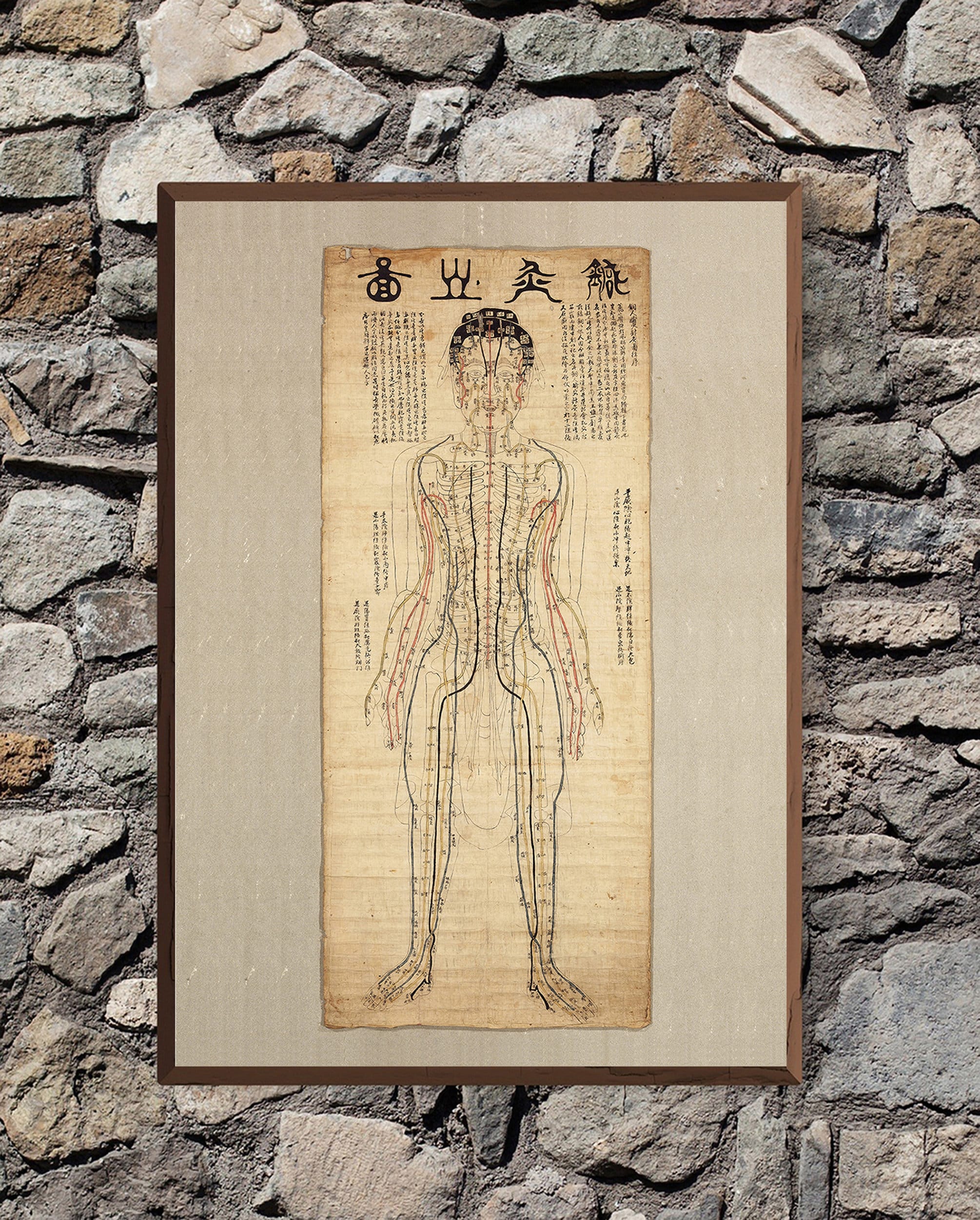Diagram of Acupuncture Chart - Etsy