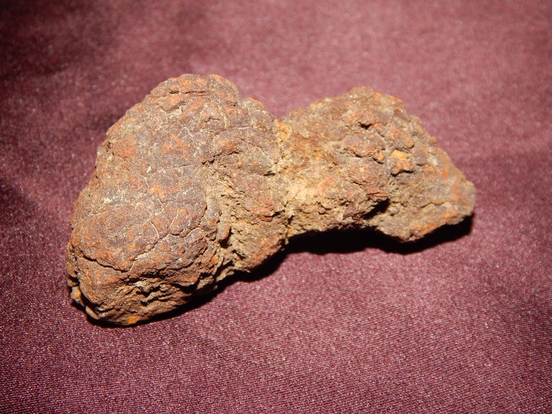 fossilized poop
