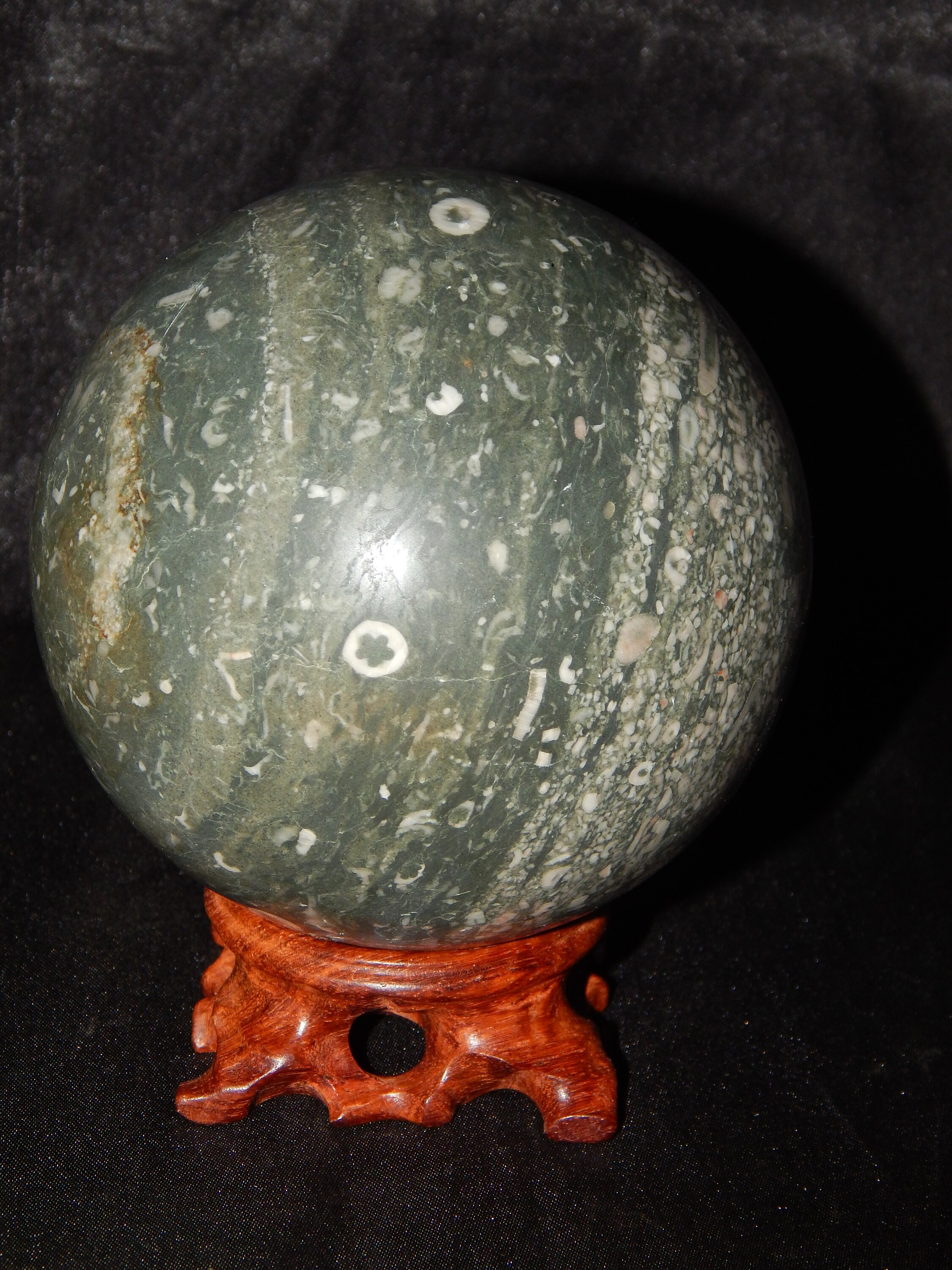 XLarge Genuine Green CRINOID FOSSIL JASPER Sphere 104mm Etsy