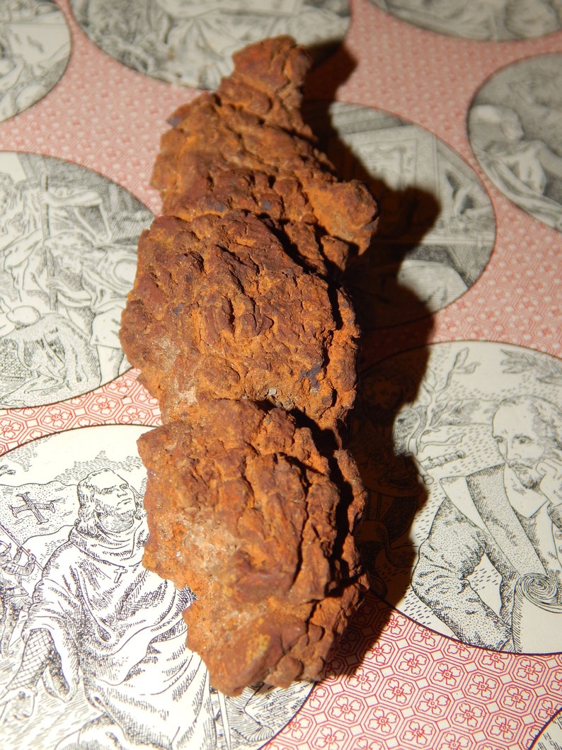 coprolite fossilized poop