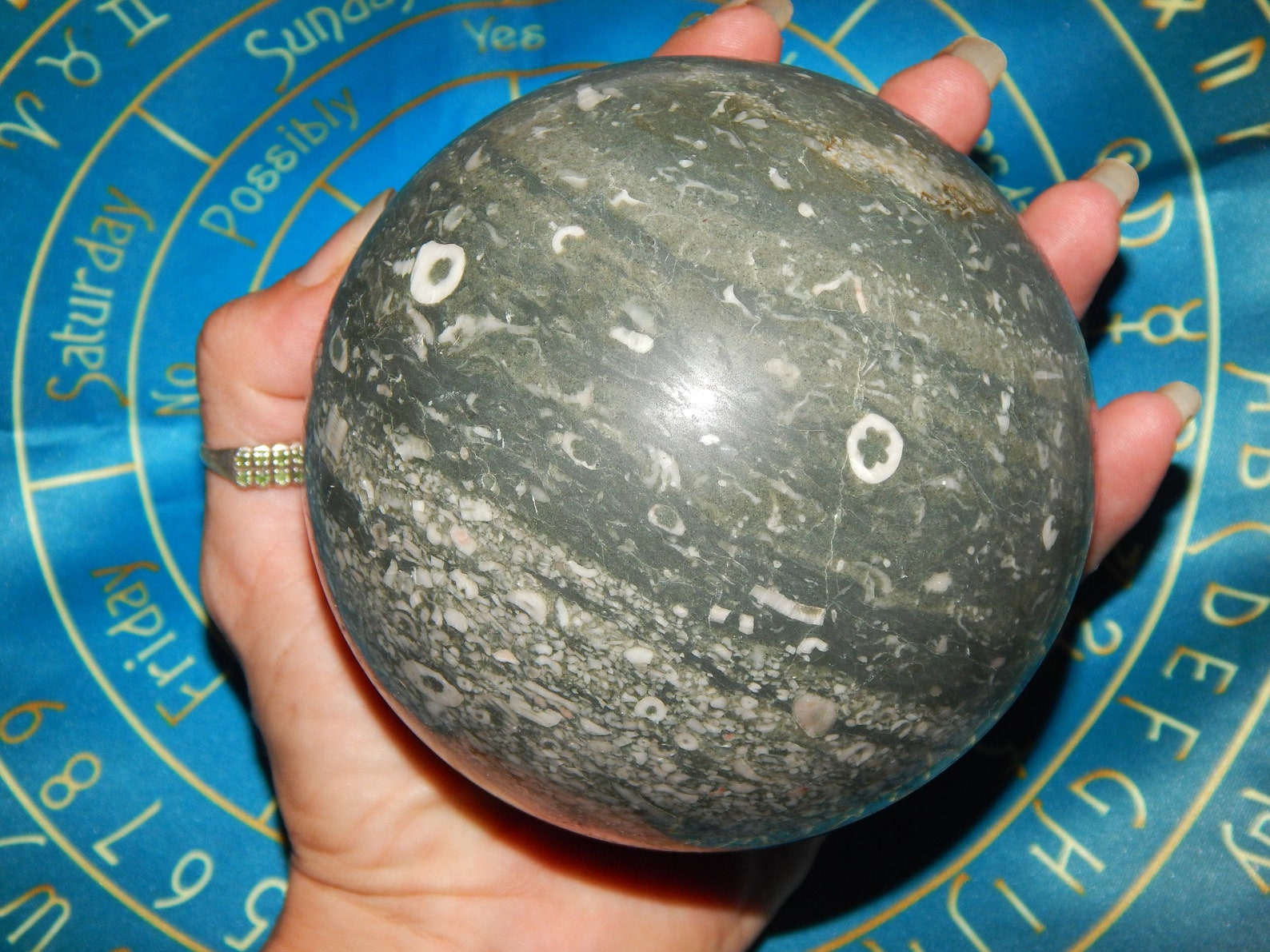 XLarge Genuine Green CRINOID FOSSIL JASPER Sphere 104mm Etsy