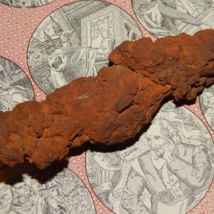 coprolite fossilized poop