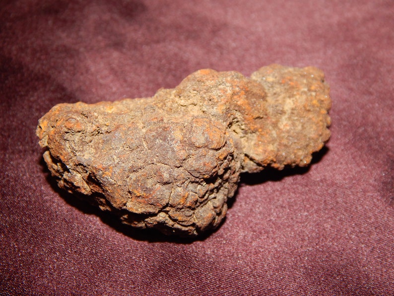 Genuine COPROLITE Real FOSSILIZED POOP Dung Stone Poop | Etsy
