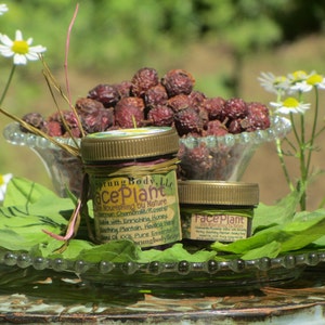 FacePlant, 1.5 oz., Herbal Salve/Essential Oils for the Face, Skin irritation, Scarring, Cysts from Adult Acne