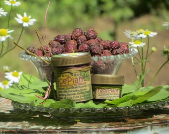 FacePlant, 1.5 oz., ungüento herbal/aceites esenciales para el rostro, irritación de la piel, cicatrices y quistes causados por el acné en adultos.