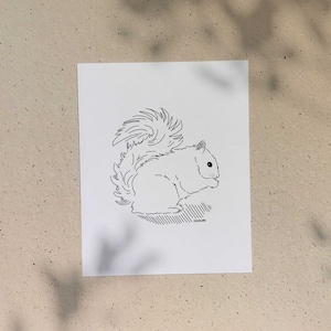 Squirrel / 5x7 or 8x10in / Illustration printed on recycled cardboard / Darvee's Montreal Icons / B+W Unisex Minimalist Art Print