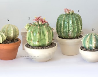 Ceramic succulents