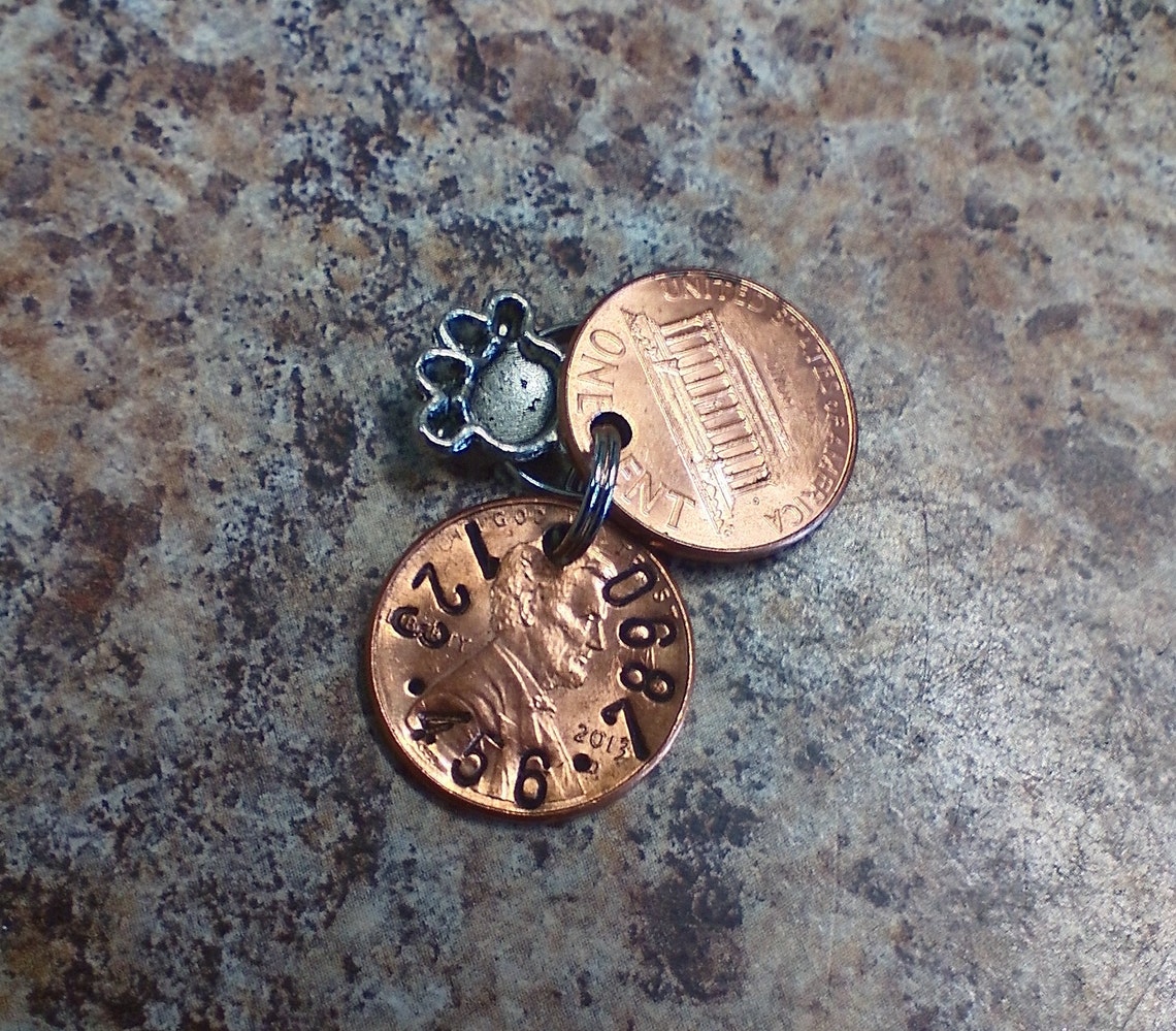 Lucky Dog Pet ID Personalized Penny Dog Tag or Cat ID Etsy