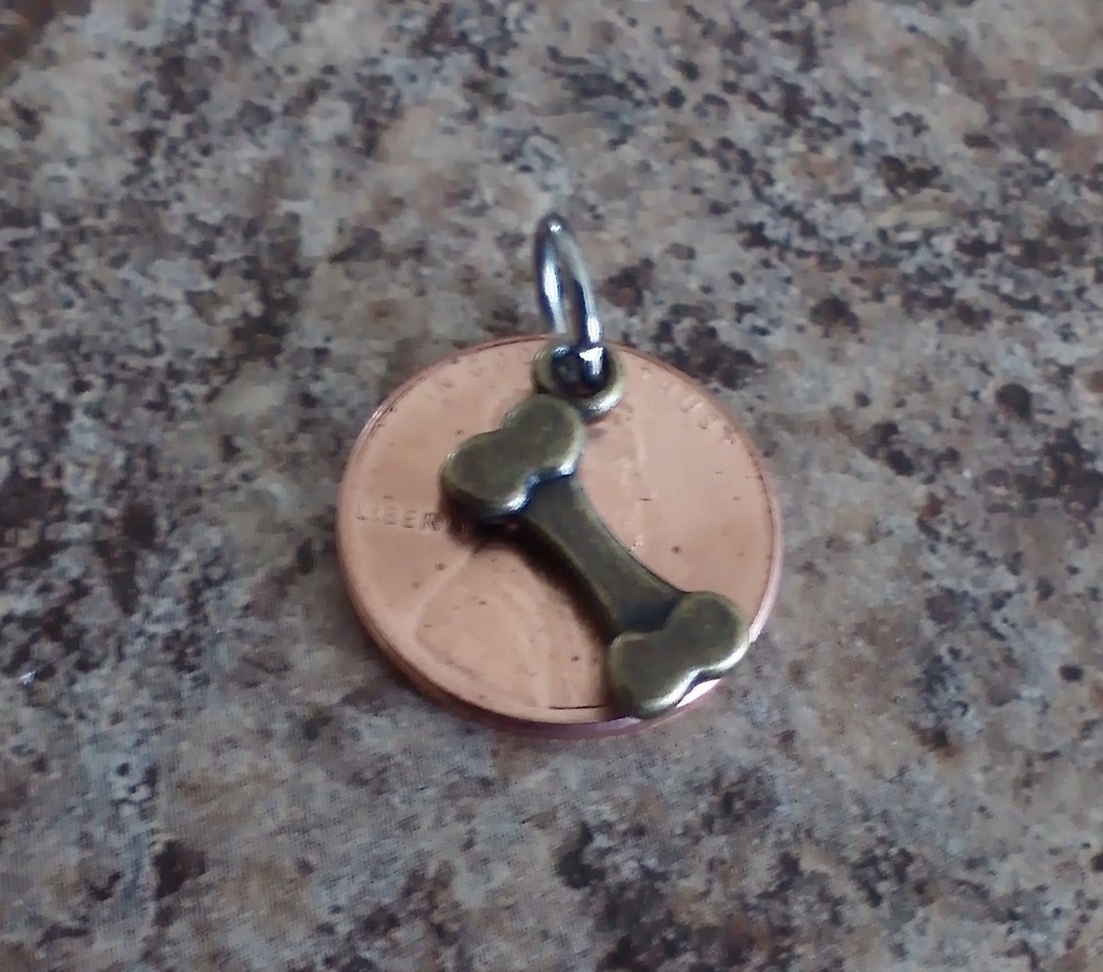 Lucky Dog Pet ID Personalized Penny Dog Tag or Cat ID Etsy