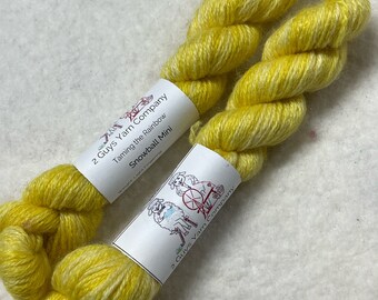 100 yards mini skein - BFL/Nylon - Follows the Sun