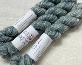 100 yards mini skein - BFL/Nylon - Sport Jacket