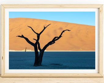 Namibia Desert Tree Fine Art Print, Sossusvlei Landscape