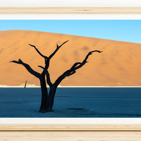 Namibia Desert Tree Photo, Dead Tree Silhouette in the Namibia Desert, Deadvlei Sossusvlei Photography Print, Desert Landscape Photo Print