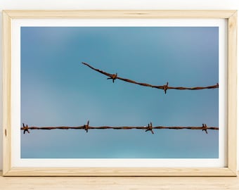 Barbwire Sky Photo Print – Rustic Minimalist Wall Art