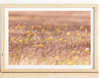 Yellow Dandelions in Sunlit Field Photo | Wall Art Print for Home Decor | Nature-Inspired Picture