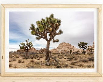 Joshua Tree National Park Print – Desert Landscape Photo, California Wall Art