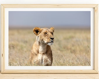 Serengeti Lioness Print, African Wildlife Photography, Nature Wall Art