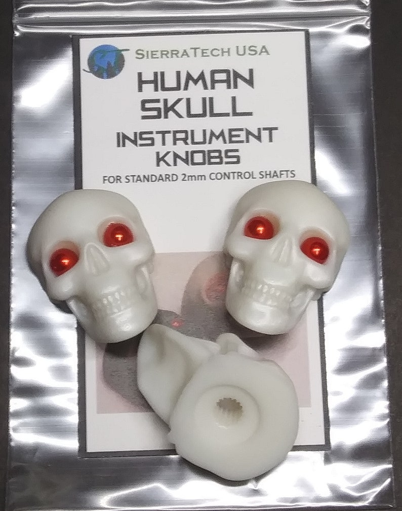 Skull String Instrument Human Skull Guitar Volume/tone Instrument Knobs, Solid Resin, Set of 3 ...