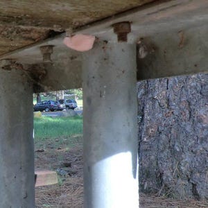 Può includere: Primo piano di un tavolo da picnic in legno con due supporti in cemento grigio. Il tavolo è parzialmente oscurato da un tronco d'albero e rami. Due auto sono visibili sullo sfondo.