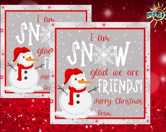 Editable Christmas Gift Tag , Snow Glad We Are Friends, Gift Tag for Students, Thank You Tags, Digital Gift Tag, Christmas Tag