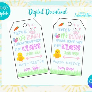 May include: Two printable Easter gift tags featuring a bunny and chick with the text "There is no bunny I would rather have in my class than you!"  Happy Easter, Love [Name].
