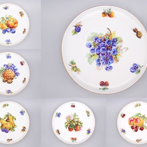 Toscport Fine China Fruit Plates Set, Czechoslovakia Colorful Fruit Dessert Plates, Set of 6 Vintage Bohemian Salad Plates