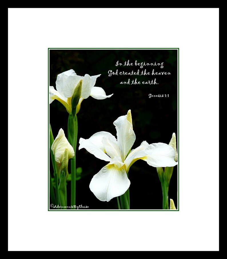 White Iris Bible Verse Print, Scripture Wall Art, Genesis 11, Floral