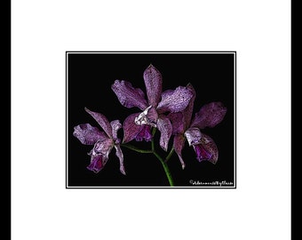 Purple Cattleya Orchid Woodcut Flower Photography, Purple Flower Wall Art, Purple Flower Decor