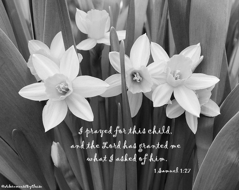 Daffodil Photograph With Bible Verse, I Prayed for This Child Nursery