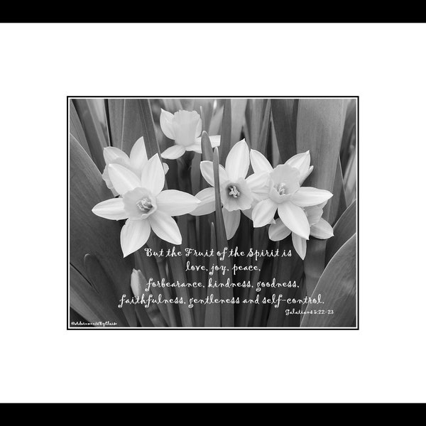 Daffodil Photograph Fruit of the Spirit Bible Verse Print Scripture Wall Art Christian Quote Christian Decor Christian Gift Flower Wall Art