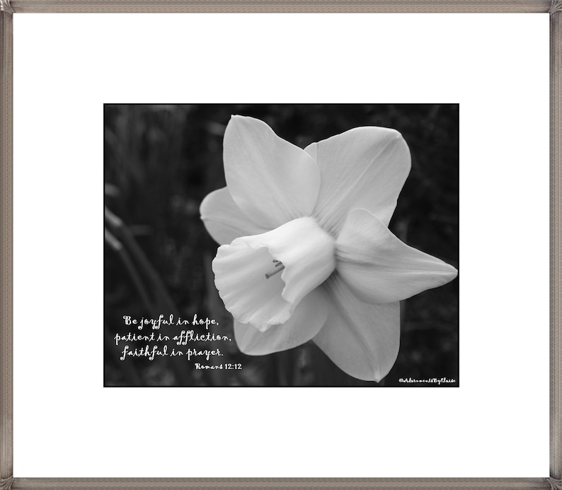 Daffodil Photograph Bible Verse Print Be Joyful in Hope Scripture Wall
