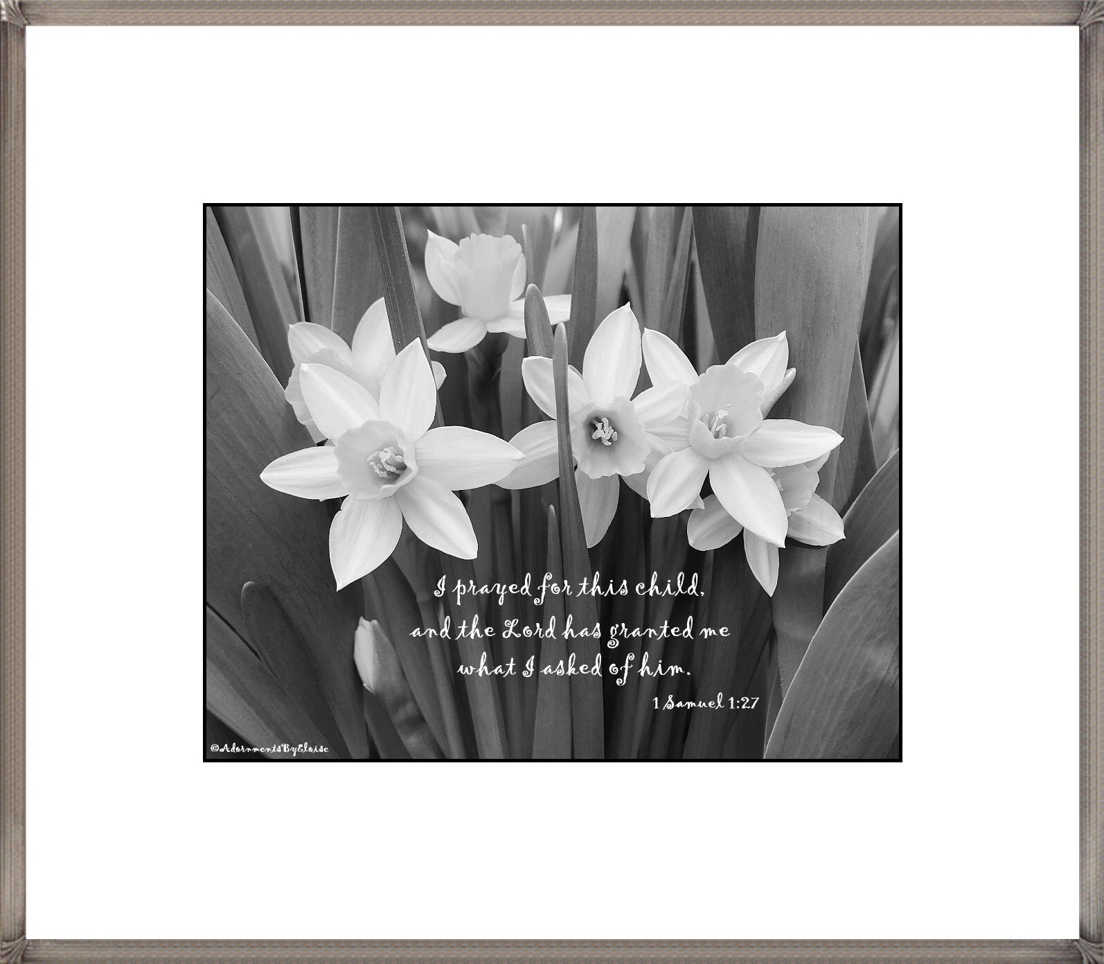 Daffodil Photograph With Bible Verse I Prayed for This Child Etsy