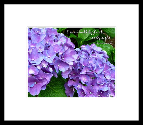 2 Corinthians 5:7 Hydrangea Photography-Bible Verse Art-Purple Flower Print-Christian Art-Scripture Art-Christian Wall Art-Purple Wall Art