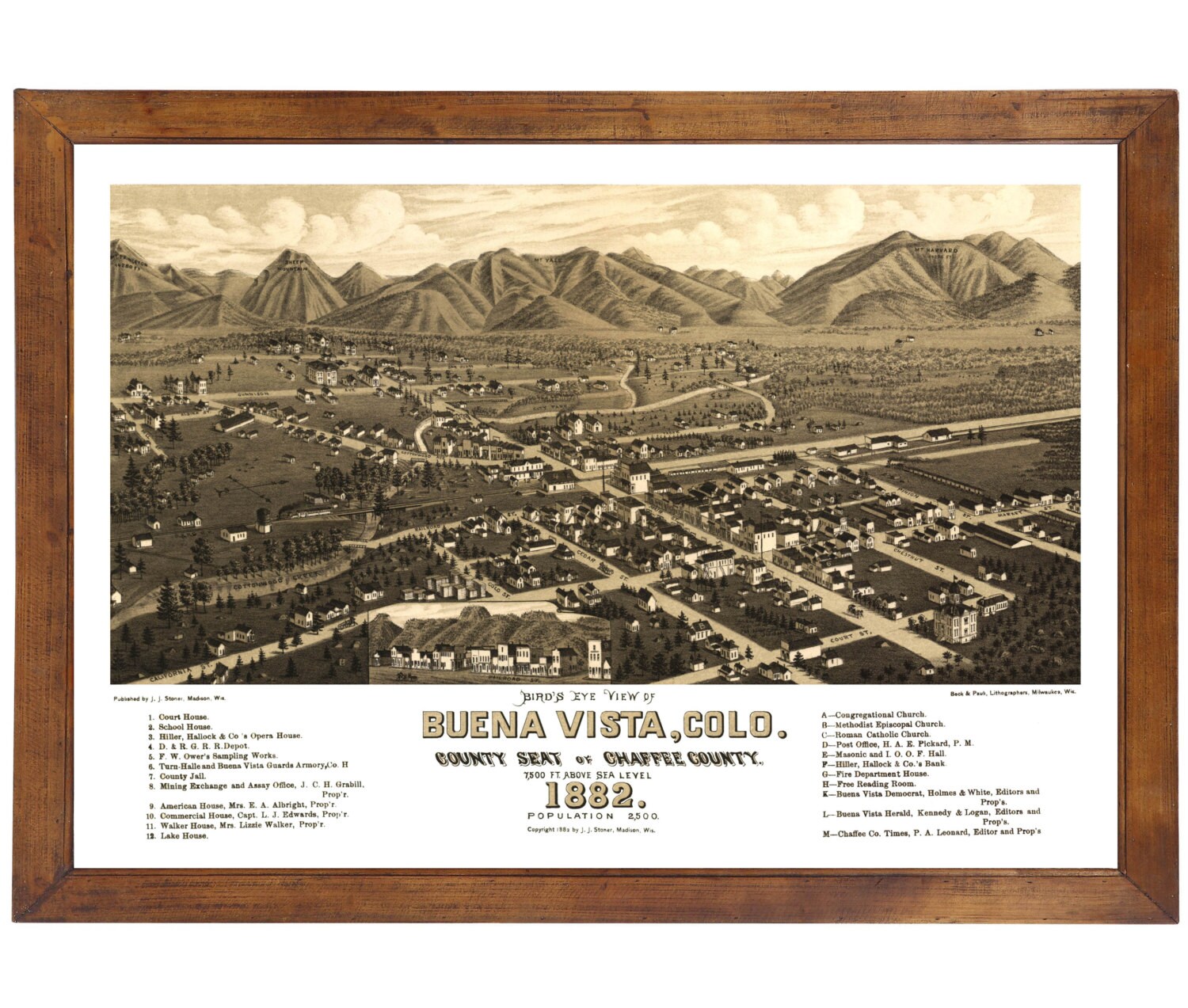 Buena Vista, CO 1882 Bird's Eye View 24 X 36 Print From a Vintage