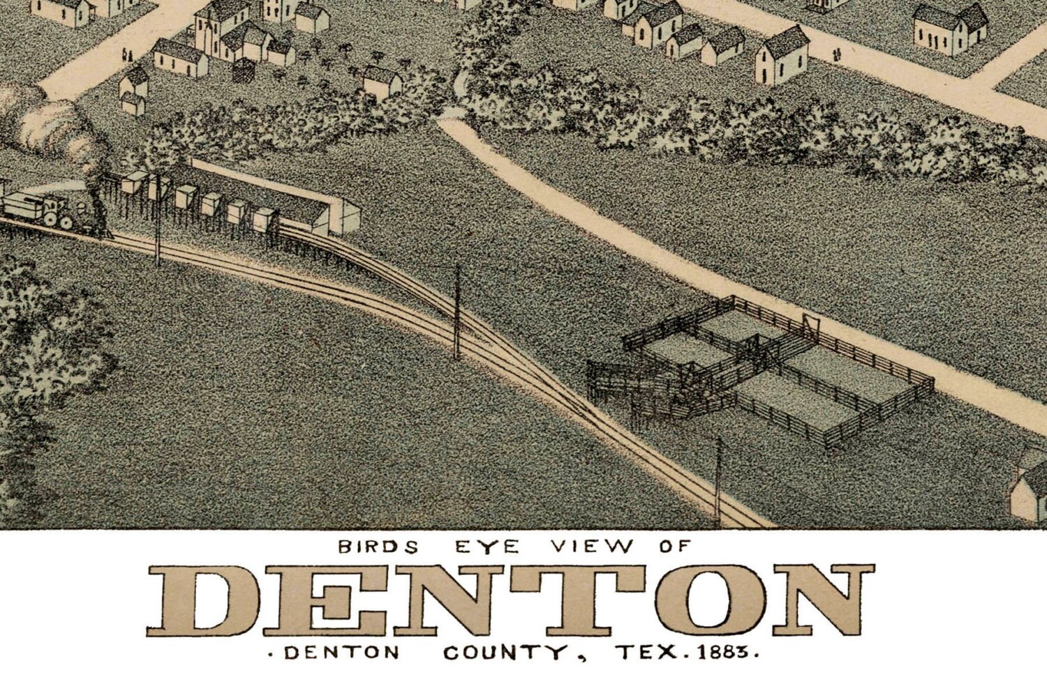 Denton TX 1883 Bird's Eye View 24 X 36 Print Etsy
