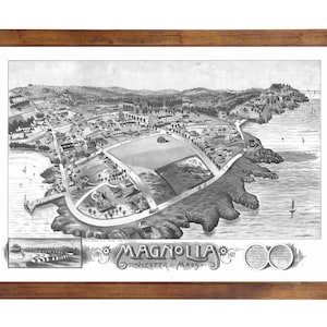 May include: A black and white vintage map of Magnolia, Gloucester, Mass. The map shows the town's layout with streets, buildings, and the coastline. The map is framed in a brown wooden frame.