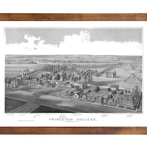 Princeton College, NJ 1875 Bird&#39;s Eye View; 24x36 Print from a Vintage Lithograph