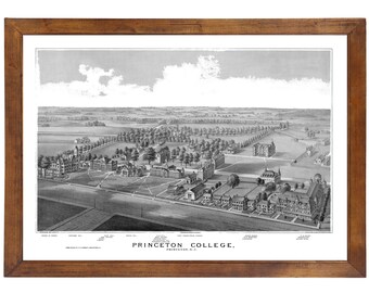 Princeton College, NJ 1875 Bird's Eye View; 24x36 Print from a Vintage Lithograph