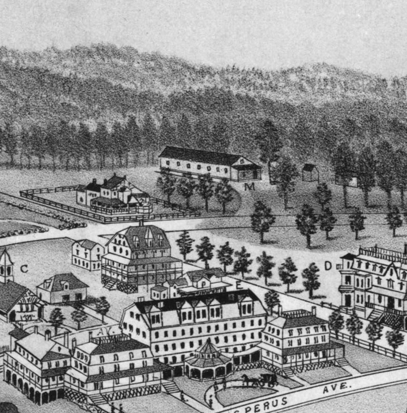 Magnolia gloucester MA 1887 Bird's Eye View 24x36 Print From a Vintage