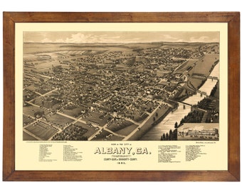 Albany, GA 1885 Bird's Eye View; 24" x 36" Print from a Vintage Lithograph (does not include frame)